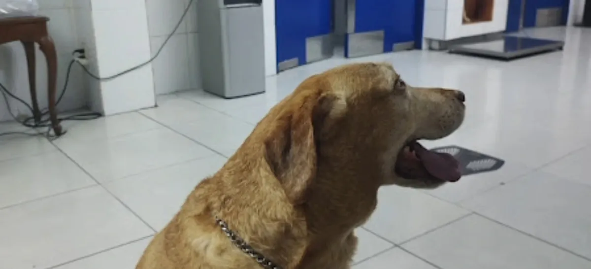 Clínica Veterinaria Arboledas