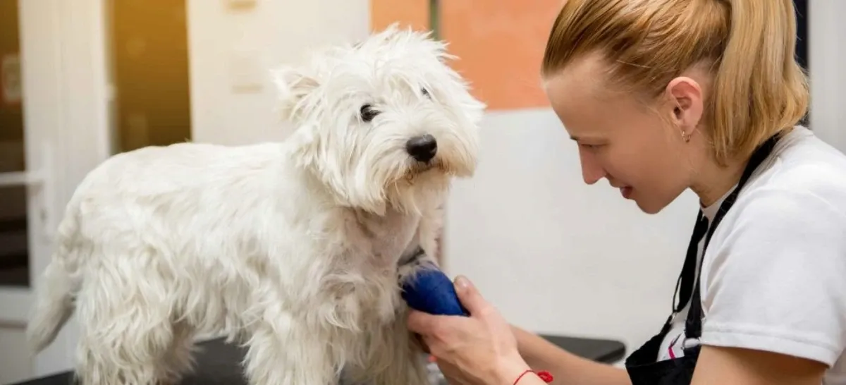 Veterinaria MAU y Estetica Canina