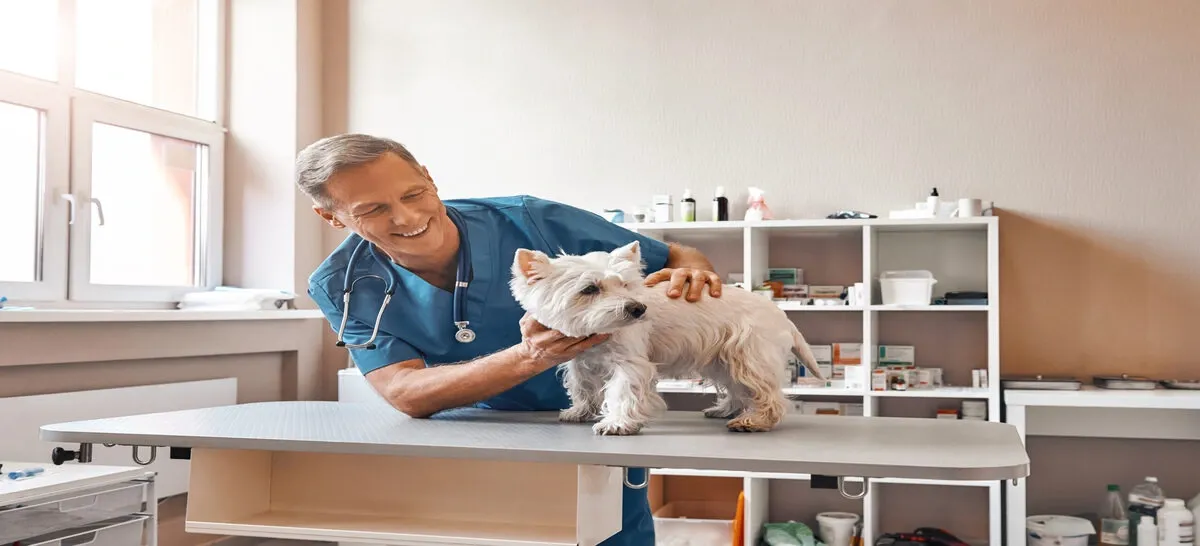 Meds For Pets