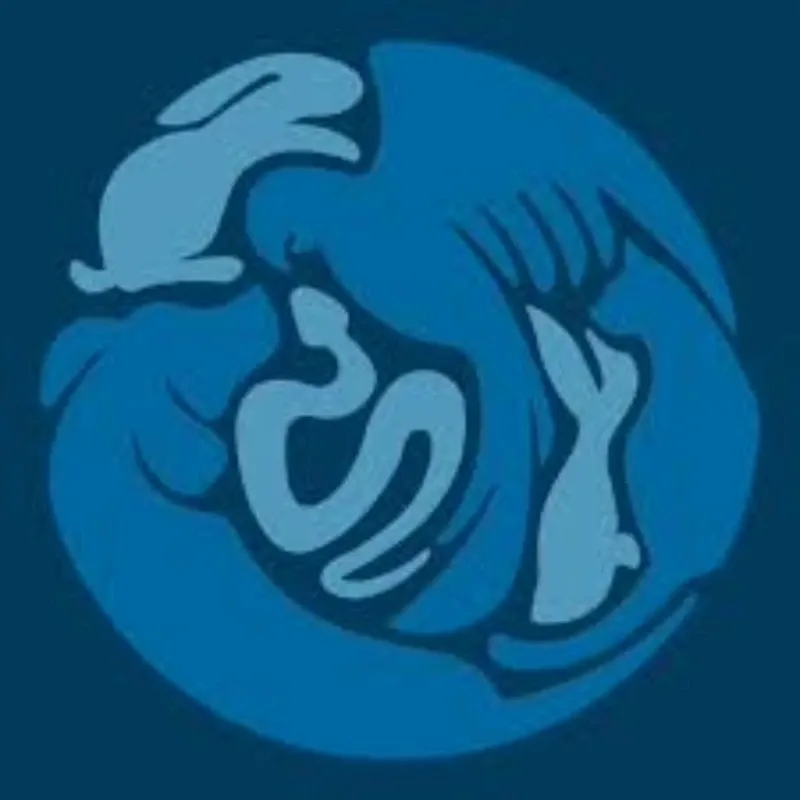 Profauna Hospital Veterinario 24 Horas