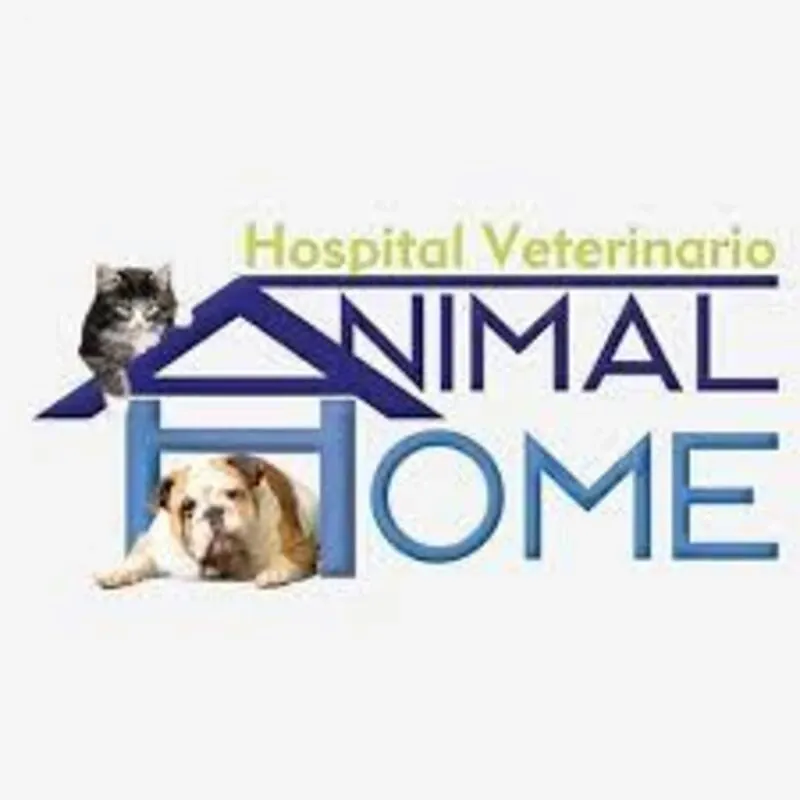 Hospital Veterinario Animal Home Coapa 24 horas